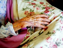 Mrs Pontifex's Hand.