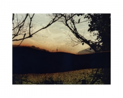 Untitled (0405-1), 2012