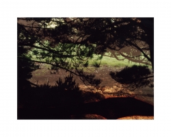 Untitled (1112-3), 2013