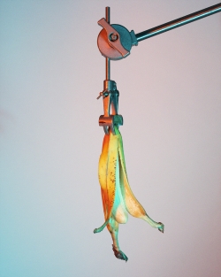 Bananas 9