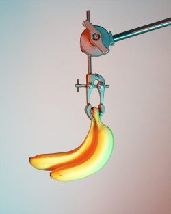 Bananas 1