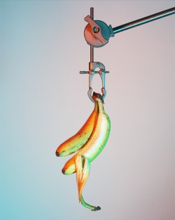 Bananas 7