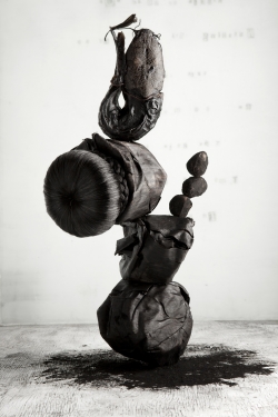 DALSTON-ANATOMY-2