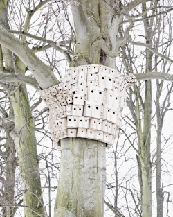 'Birdhouses' 'Birdhouses'